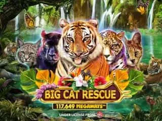 Big Cat Rescue Megaways Slot